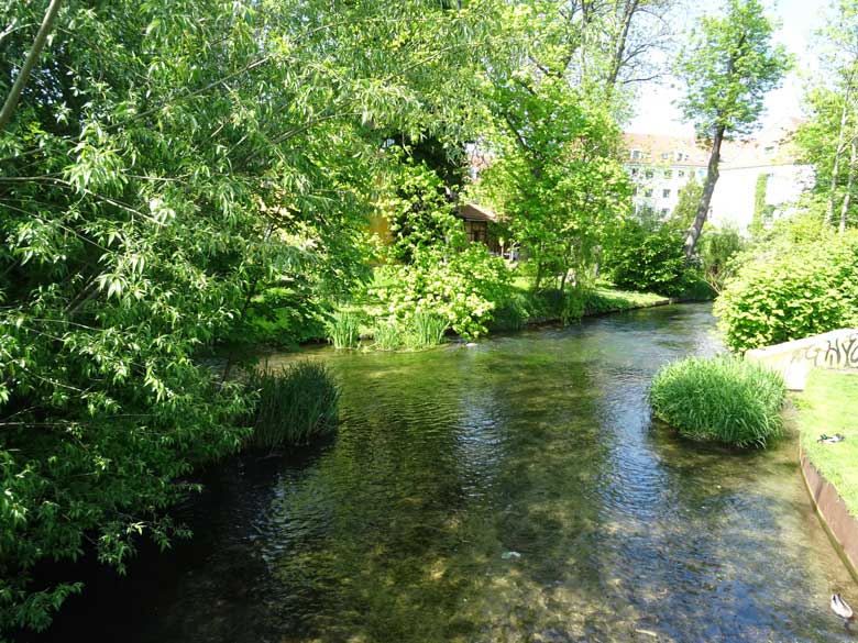 Erfurt-Venedig Ferienwohnung